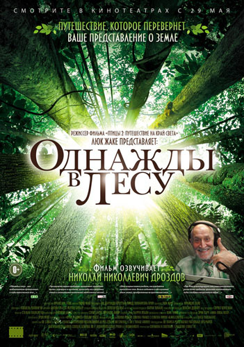 Однажды в лесу (2013)