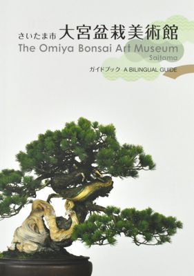 Музей искусства Бонсай Омия (2016)