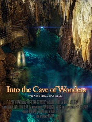 В пещере чудес (2014)