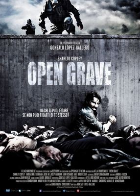 Открытая могила (2013)