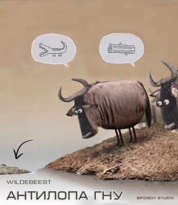Антилопа гну / Wildebeest (2012)