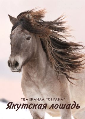 Якутская лошадь (2016)