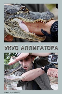 Укус аллигатора / Alligator Bite (2016)