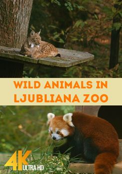 Дикие животные в Люблянском зоопарке (2017)
