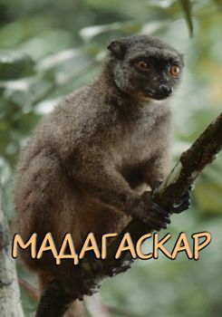 Мадагаскар / Madagascar (2018)