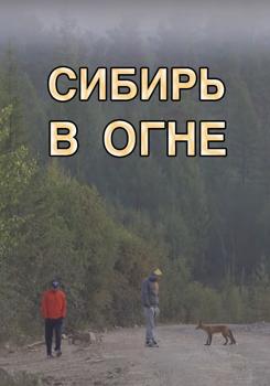 Сибирь в огне (2019)