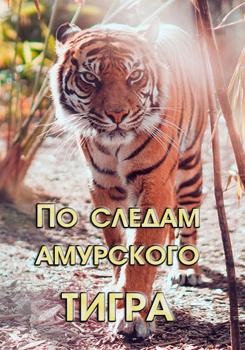 По следам амурского тигра (2019)