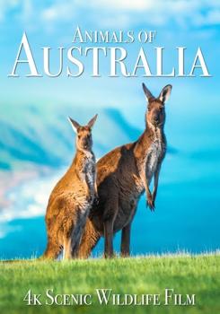 Животные Австралии / Animals of Australia (2023)
