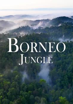 Джунгли Борнео / Borneo Jungle (2023)